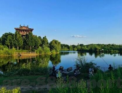 澳门威尼斯人网址娱乐-澳门威尼斯人网址娱乐，探索娱乐新境界