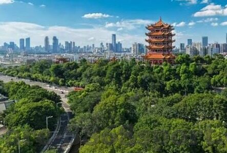 老版足球比分直播-重温经典，老版足球比分直播的情怀与记忆