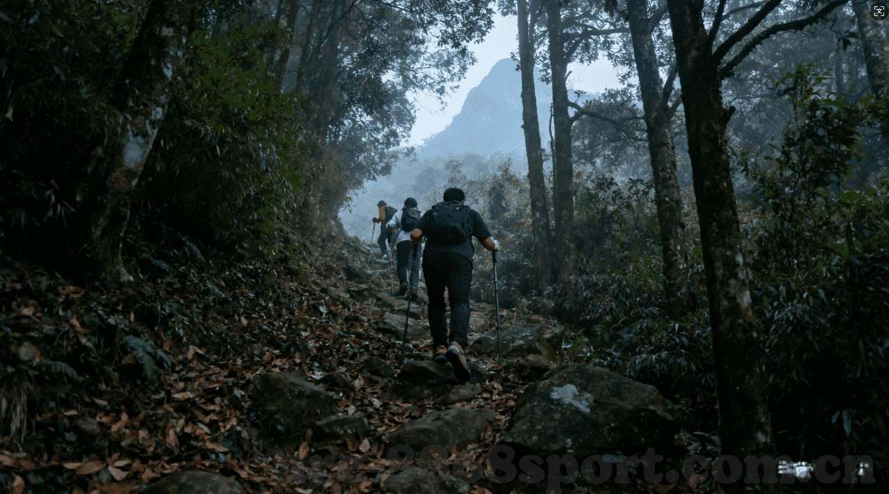 折扣手游app九游-千米之外，梦幻手游殿堂崛起，折扣手游app九游绘