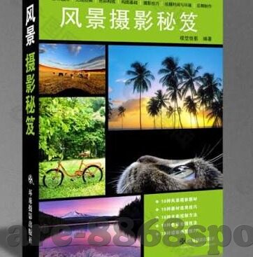 足球比分购买-理性看待足球比分购买，风险、法律与道德的审视