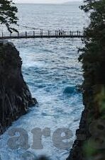 足球混合过关比分玩法-揭秘足球混合过关比分玩法，高风险高回报的竞猜艺术